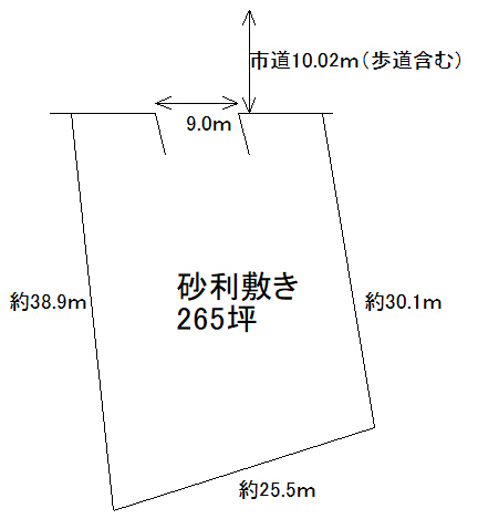 概略図