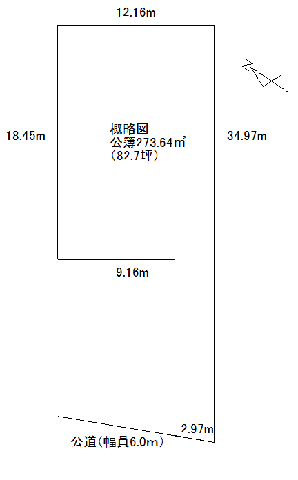 概略図